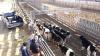 Photo for Cattle Tracking System Market Outlook Future Growth Analysis, Business Demand And Opportunities To  2019 - 2023