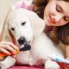 Photo for Global Pet Dental Spray Market  Analysis, Business Demand 2020-2024