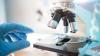 Photo for Global Microscopy Market Research Report - Industry Analysis, Size, Share, Growth, Trends and Forecast Till 2026