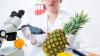 Photo for Global Food Safety Testing Equipment And Consumables Market Research Report - Industry Analysis, Size, Share, Growth, Trends and Forecast Till 2026