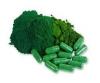 Photo for Global Algae Products Market 2020 | Manufacturers, Regions, Type and Application, Forecast to 2025