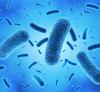 Photo for Global Anti-Microbial Coatings Market 2020 | Manufacturers, Regions, Type And Application, Forecast To 2025