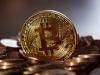Photo for Now When Our Lives Have Gone Online, Which Are The Reasons To Upskill Bitcoin Trading