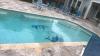 Photo for Pavers in Jacksonville Florida