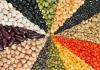 Photo for Global Neutral Alternative Protein Market 2020 | Manufacturers, Regions, Type and Application, Forecast to 2025