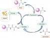 Photo for Global Peptide Synthesis Market 2020 | Manufacturers, Regions, Type and Application, Forecast to 2025