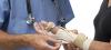 Photo for Global Antimicrobial Medical Textiles Market Research Report - Industry Analysis, Size, Share, Growth, Trends and Forecast Till 2026