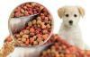 Photo for Pet Food Market Emerging Trends, Industry Demand, Growth, Key Players 2020-2030