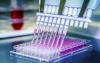 Photo for Global In-Vitro Toxicology Testing Market Research Report - Industry Analysis, Size, Share, Growth, Trends and Forecast Till 2026
