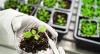 Photo for Global Agricultural Biotechnology Market Research Report - Industry Analysis, Size, Share, Growth, Trends and Forecast Till 2026