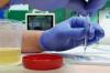 Photo for Global Drug Screening Market Research Report - Industry Analysis, Size, Share, Growth, Trends and Forecast Till 2026
