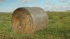 Photo for Global Bale Net Wrap Market 2020 | Manufacturers, Regions, Type And Application, Forecast To 2025