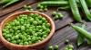 Photo for World Pea Starch Market: Market Size,Industry Growth and Forecast Report Till 2025