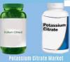 Photo for Potassium Citrate Market Worth $868.9 Million By 2025