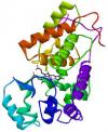 Photo for Global Horseradish Peroxidase (HRP) Market 2020 | Manufacturers Regions Type And Application Forecast To 2025