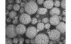 Photo for Global Polymer Microspheres Market 2020 | Manufacturers Regions Type And Application Forecast To 2025