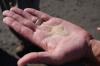Photo for Global Frac Sand Market 2020 | Manufacturers Regions Type And Application Forecast To 2025