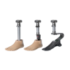 Photo for World Prosthetic Foot Market Size,Industry Growth and Forecast Report Till 2025