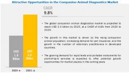 Photo for Companion Animal Diagnostics Market: Growing Demand for Rapid Tests and Portable Instruments for PoC Diagnostic Services