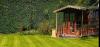 Photo for ProCut Garden and Property Services