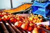 Photo for Global Fruits And Vegetables Processing Market Research Report - Industry Analysis, Size, Share, Growth, Trends and Forecast Till 2026