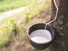 Photo for Global Natural Rubber Market Research Report - Industry Analysis, Size, Share, Growth, Trends and Forecast Till 2026