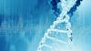 Photo for Genotyping Assay Market 2018-2023 | Investment in Genotyping Process and Techniques to Boost Growth