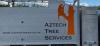 Photo for Aztech Tree Services Ltd