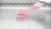 Photo for COVID-19 Impact on the Companion Diagnostics Market Growth Report Analysis