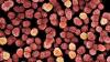 Photo for Global Nanopharmaceuticals Market 2020 | Manufacturers, Regions, Type And Application, Forecast To 2025
