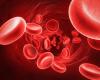 Photo for Global Colloids (Blood Plasma) Market 2020 | Manufacturers, Regions, Type And Application, Forecast To 2025