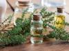 Photo for Thyme Essential Oil Market | World Players Forecast Analysis Till 2023