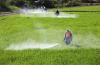 Photo for Global Crop Protection Chemicals Market Research Report - Industry Analysis, Size, Share, Growth, Trends and Forecast Till 2026