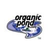 Photo for Organic Pond