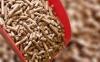 Photo for Global Biomass Pellets Market 2020 | Manufacturers Regions Type And Application Forecast To 2025