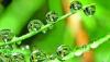 Photo for Global Bio-based Butanol Market 2020 | Manufacturers Regions Type And Application Forecast To 2025