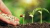Photo for Global Fertilizer Additives Market Research Report - Industry Analysis, Size, Share, Growth, Trends and Forecast Till 2026