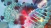 Photo for Global Next-Generation Antibody Therapies Market Research Report - Industry Analysis, Size, Share, Growth, Trends and Forecast Till 2026