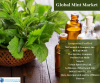 Photo for Global Mint Market By Knowledge Sourcing Intelligence