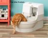 Photo for Cat Litter Products Market Worth $5.0 Billion By 2025