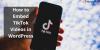 Photo for How to Embed TikTok Videos in WordPress