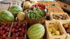 Photo for Chicory Market Size Worth $294.2 Million by 2025