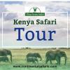Photo for Kenya Safari Tours