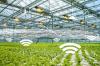 Photo for Global Smart Greenhouse Market 2020 | Manufacturers, Regions, Type And Application, Forecast To 2025