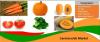 Photo for Carotenoids Market Size Worth $1.74 Billion By 2025