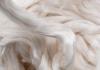Photo for Global Lyocell Fiber Market Research Report - Industry Analysis, Size, Share, Growth, Trends and Forecast Till 2026