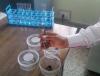 Photo for Global Spirotetramat Market Research Report - Industry Analysis, Size, Share, Growth, Trends and Forecast Till 2026