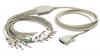 Photo for Global ECG Cables and Lead Wires Market Research Report - Industry Analysis, Size, Share, Growth, Trends and Forecast Till 2026