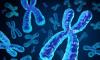 Photo for Global Cytogenetics Market 2020 | Manufacturers Regions Type And Application Forecast To 2025