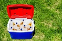 Photo for Camping Cooler Market | World Players Forecast Analysis Till 2025